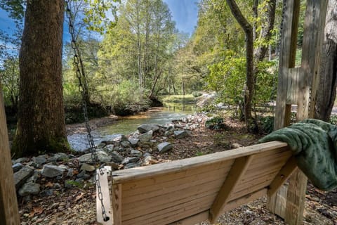 Rustic wooden swing beside the creek with peaceful views and plenty of green space nearby for pets or family fun.