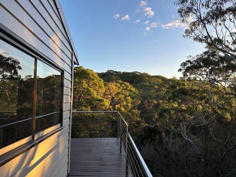 Balcony view of the Royal National Park