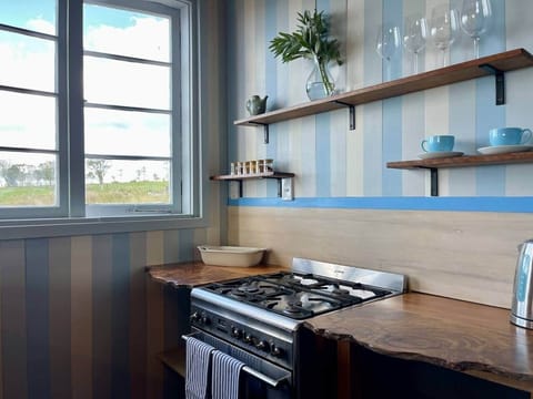 Kitchen, Smeg oven, spices, & cooking accoutrements