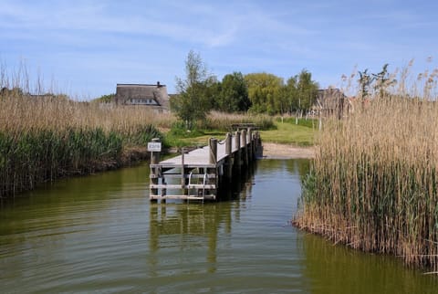 waterfront property with jetty