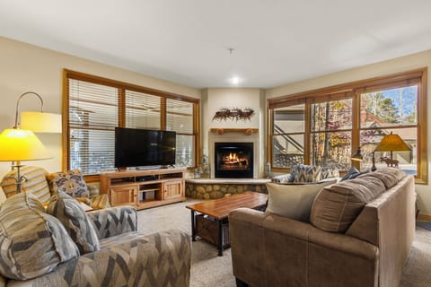 Welcome to Cozy Colorado. Big Mountains Big, Fireplace, Big Windows, Big Ideas