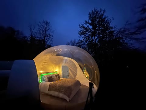 Bulle love