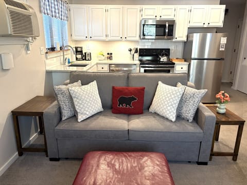 Living Room - Queen pullout sofa