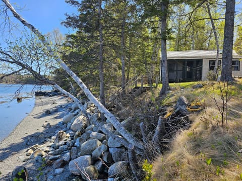 Exterior and Beach 