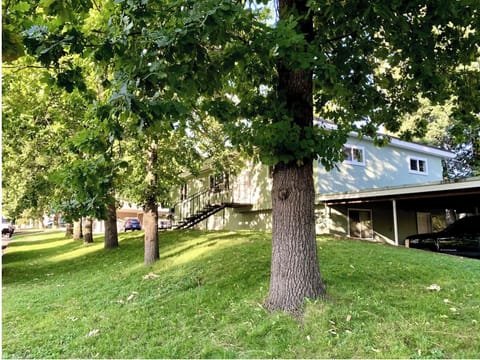 Front yard on Lincoln Way.