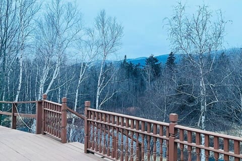 Our main deck in the heart of winter, surrounded by nature!