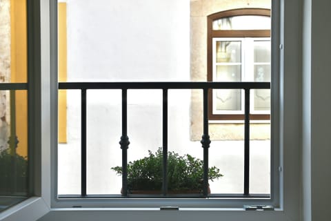 Living Room Window