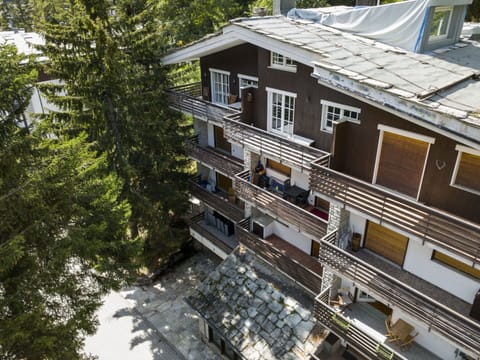 Chair, Outdoor Furniture, Yard, Balcony, Larch, Villa, Pine Family, Eco Hotel