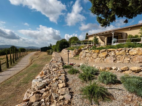 Chair, Outdoor Furniture, Yard, Balcony, Larch, Villa, Pine Family, Eco Hotel