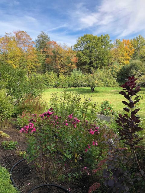 An early-autumn view across the gardens to the apple trees.
