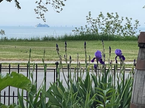 Lake Ship Iris Patio