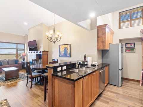 Kitchen / Living Area