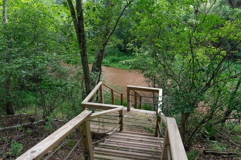 Steps down to the sandbar
