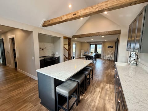 1st Floor - Kitchen with all quartz countertops