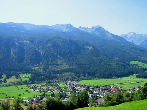 Appartements Seitner Maria - Apartment "Hohe Tauern" Apartment in Salzburgerland