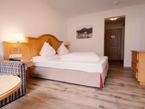 Double room mountain view without balcony M - Vogl's Nest House in Salzburgerland