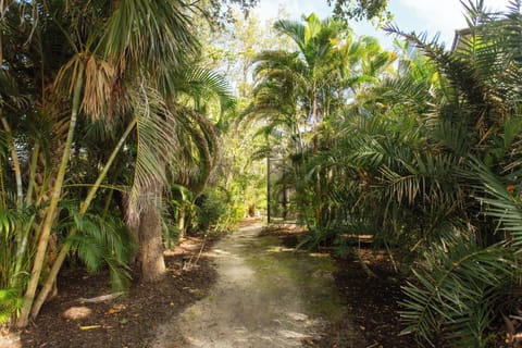 The walk from the cul-de-sac to the backyard is where it all clicked. Peaceful, private, and alive with lizards, frogs, birds & stillness—it feels like Florida, unplugged. Come be one with nature at The Sideline Club.