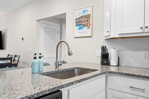 Large kitchen sink looking out towards the living room area.