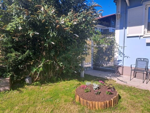 Shrub, Garden, Backyard, Yard, Shade, Landscaping, Home Fencing, Fence, Courtyard