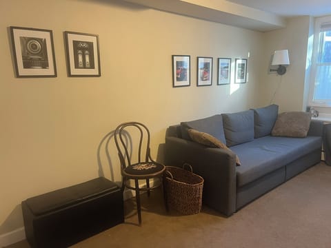 LR view with IKEA sofa before it's set up as a bed (see next photo)