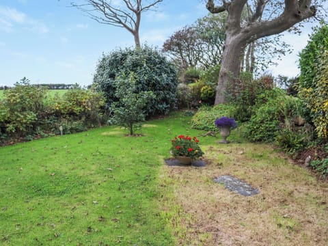 Garden | Snowdrop Cottage, St Davids
