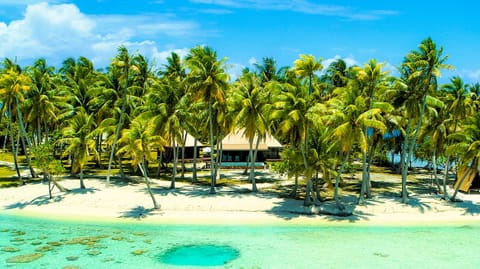 For a privileged, ultra-luxury experience in Rangiroa, Polynesia, book Villa Prestige Fara Iti. Discover this jewel of the Pacific during your vacation! If you're dreaming of the intimacy of exceptional accommodation, you'll find that here, everything is order and beauty, luxury, calm and pleasure.