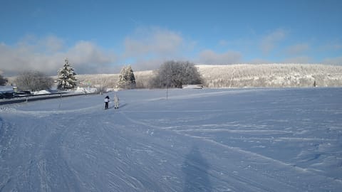 Snow and ski sports