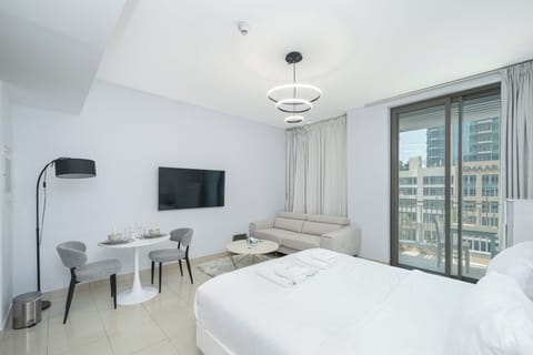 Photo of the whole apt