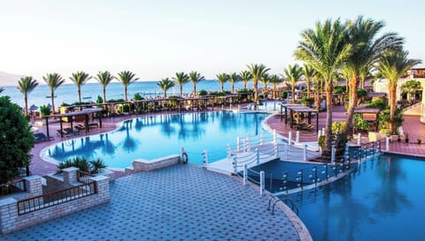 Dive into a palm-lined lagoon pool with sea views.