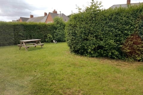 Side Garden and Outdoor Bench