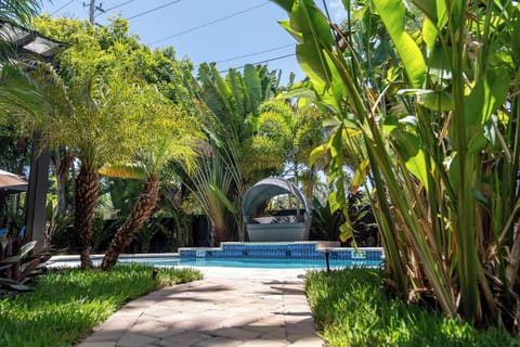 Pool view framed by greenery