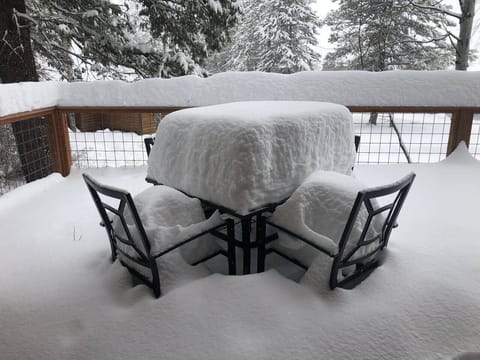 Lots of fun snow during the winter!!