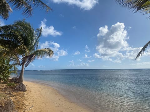 Punta Bandera Beach