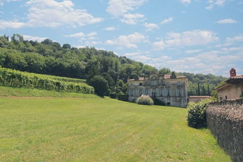 Autumn, Garden, Spring, Summer