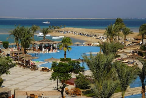 Feel the resort buzz with pools, palms, and beach steps away.