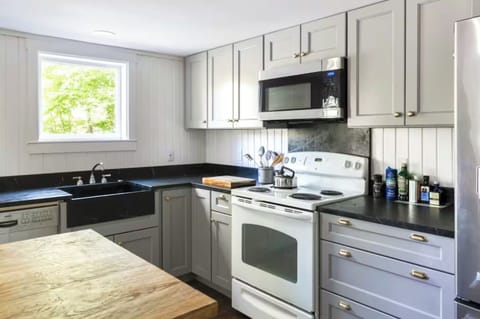 Soapstone sink & counters with electric stove