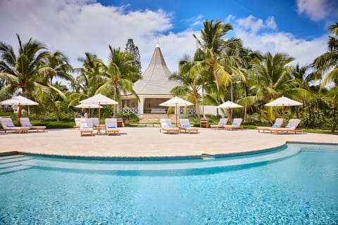 Dive into sparkling blue water framed by swaying palms.