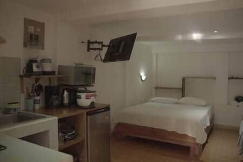Queen Bed and TV