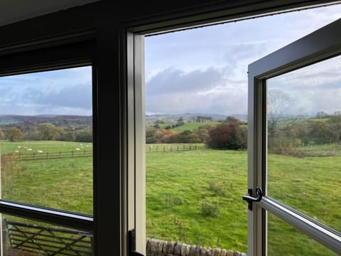 PHOTO-2025-10-29-11-10-28 2