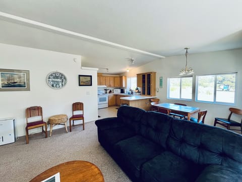 Large living room with sleeper sofa.