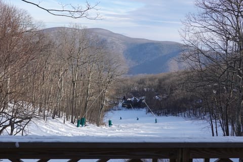 Mountain views and Tyro ski slope from the deck