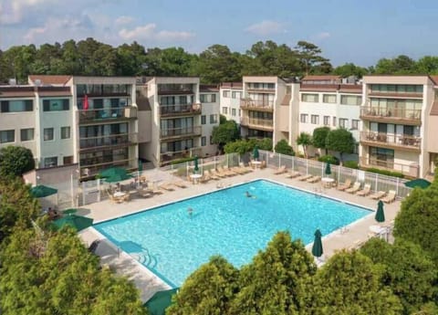 Tiburon pool