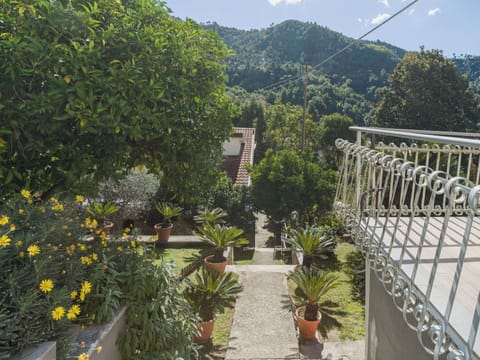 Leaf, Vegetation, Shrub, Flowerpot, Garden, Shade, Landscaping, Houseplant