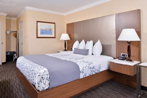 Kick back with in-room entertainment and calming natural daylight.