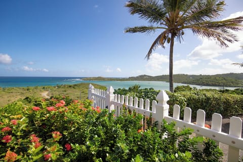 View from the home