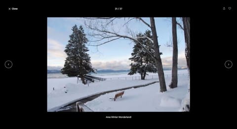 Tahoe Winter Wonderland!