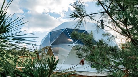 Dome 3 