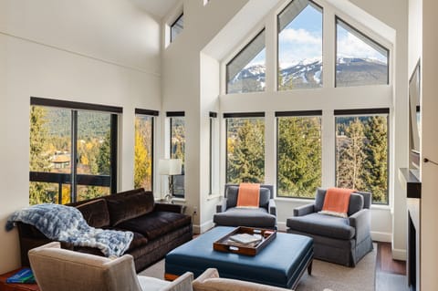 Living Room - with gas fireplace, vaulted ceilings and stunning mountain views