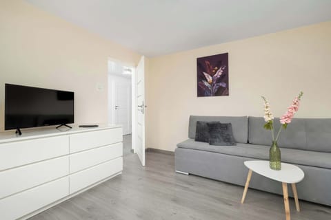 The stylish bedroom includes a comfortable sofa bed and a wardrobe.