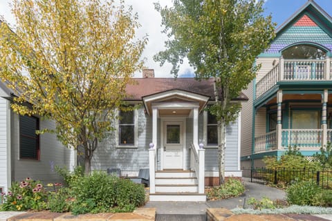 1.0-telluride-hummingbird-house-exterior